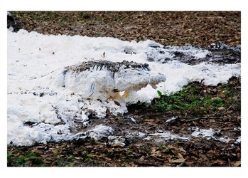 d7hftxdivxxvm.cloudfront.net