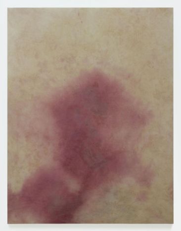 a6ca98c80c1bb2f26ff7558cd13f056d